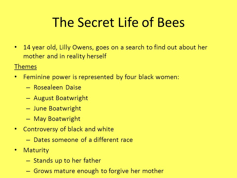 secret life of bees essay